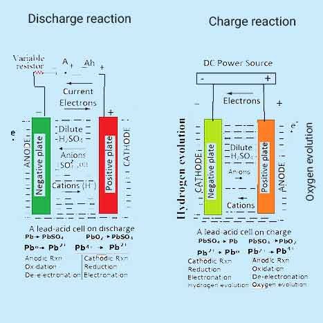 Cell-charge-and-discharge-chart.jpg Cell-charge-and-discharge-chart.jpg